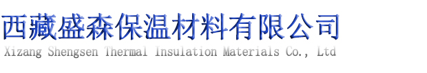 泰安中呼網(wǎng)絡(luò)傳媒logo